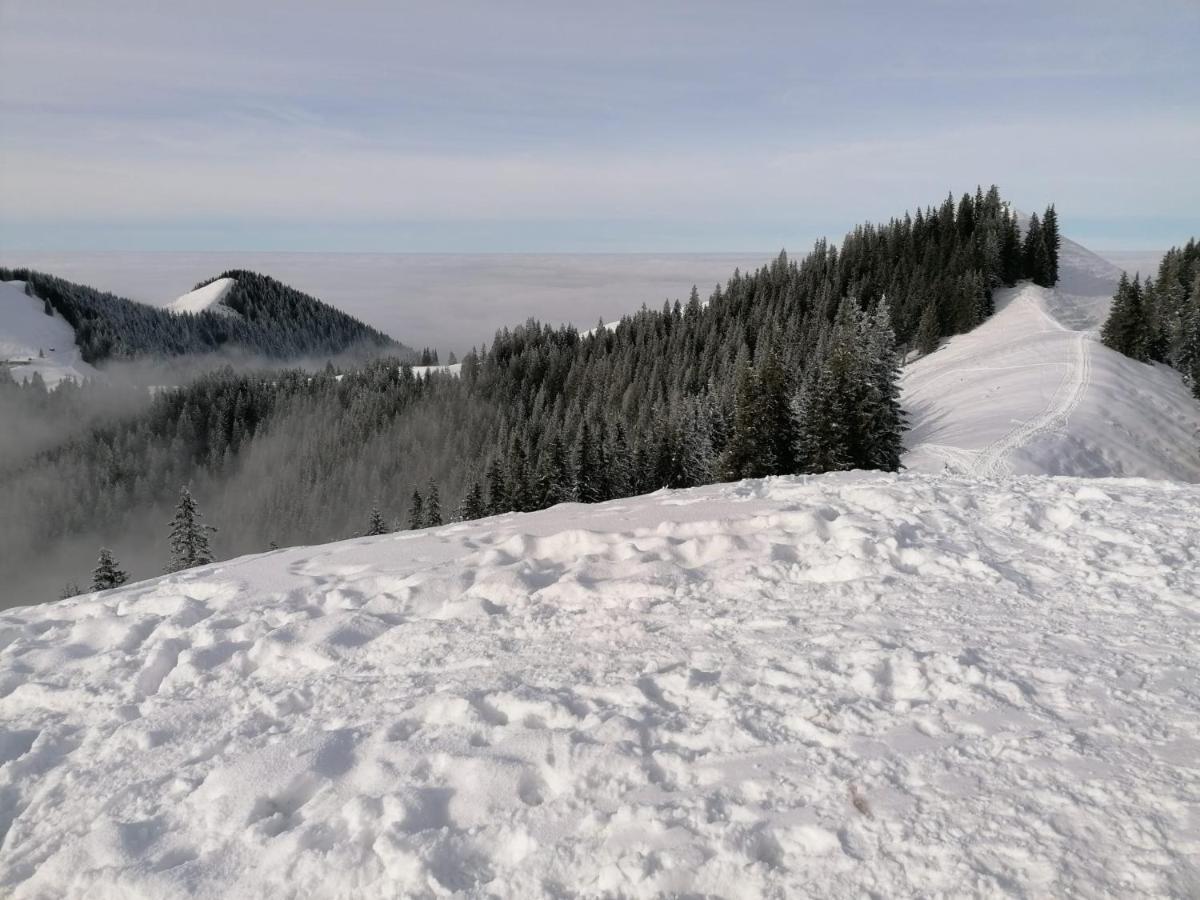 Kultur, Berge, Seen, Moor - Das Lebensglueck Мурнау-ам-Штаффельзее Экстерьер фото